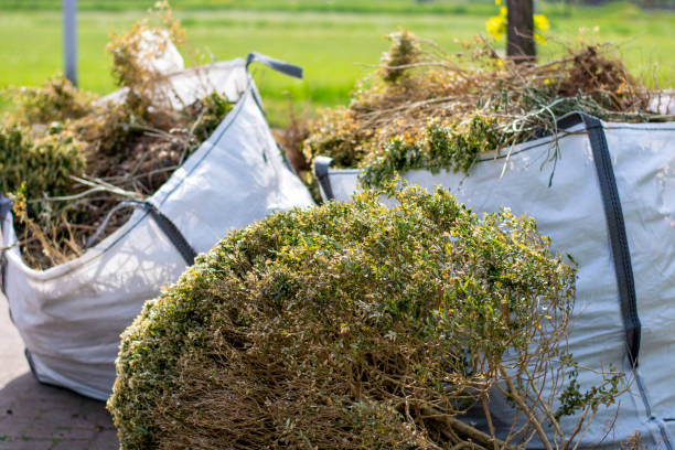 Best Affordable Junk Removal Services  in Carle Place, NY